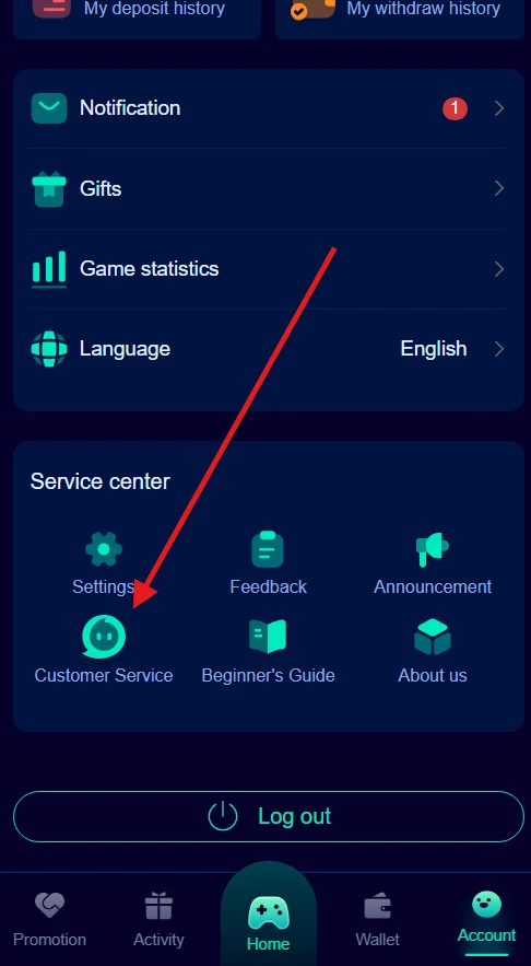 Click Customer service option